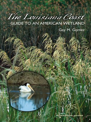 cover image of The Louisiana Coast